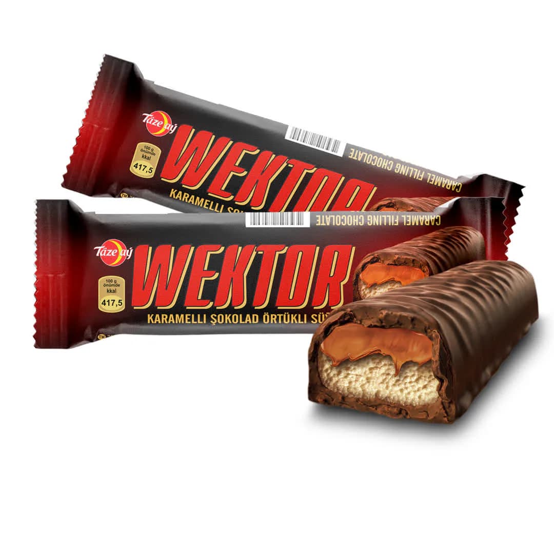 Wektor