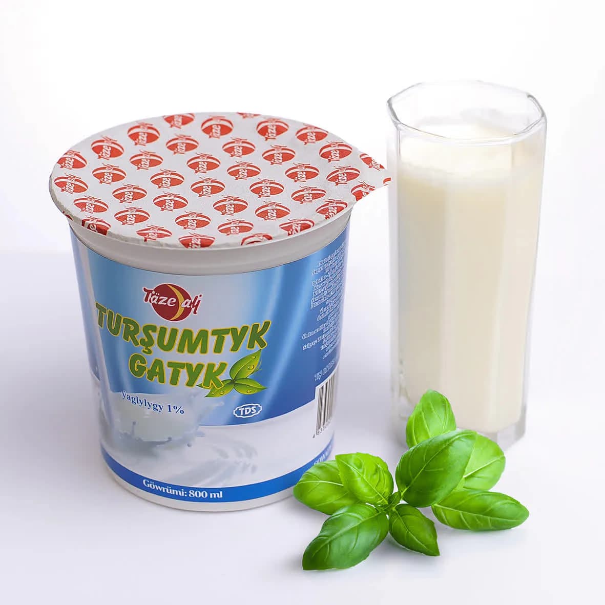 Turşumtyk Gatyk