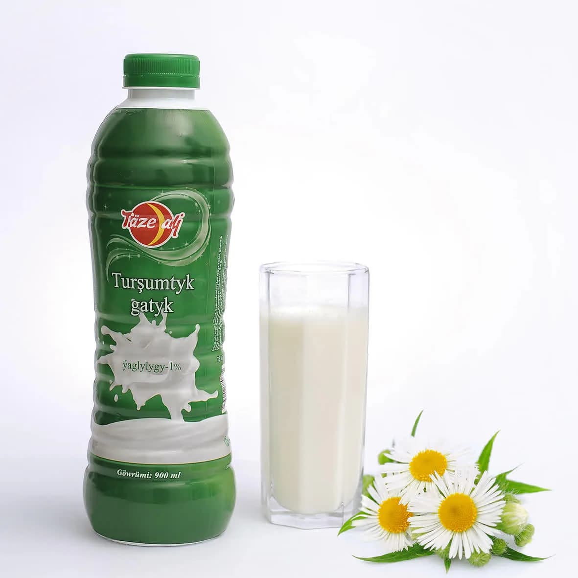 Turşumtyk Gatyk